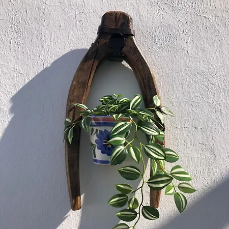 Casa Campina Jerezana Torrecera