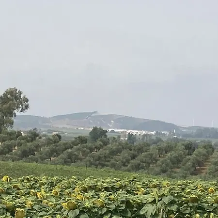 Casa Campina Jerezana *
