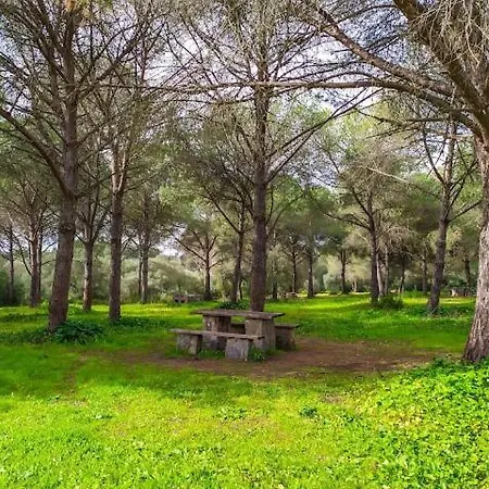 Сasa de vacaciones Casa Campina Jerezana