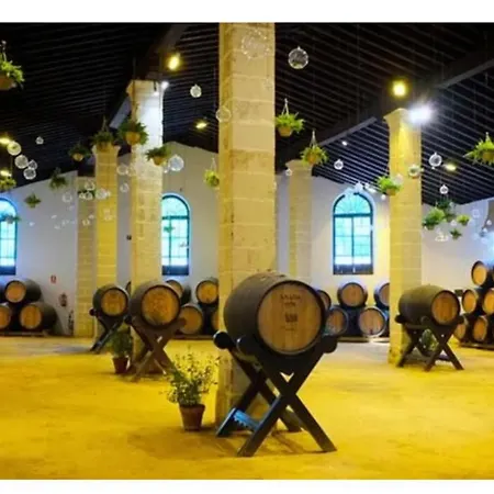 Casa Campina Jerezana * Torrecera