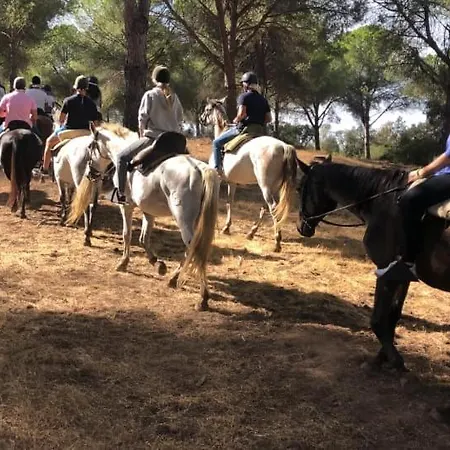 Casa Campina Jerezana Holiday home *